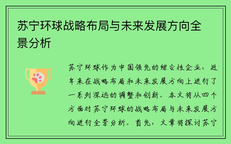 苏宁环球战略布局与未来发展方向全景分析