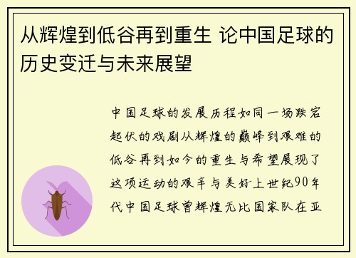 从辉煌到低谷再到重生 论中国足球的历史变迁与未来展望
